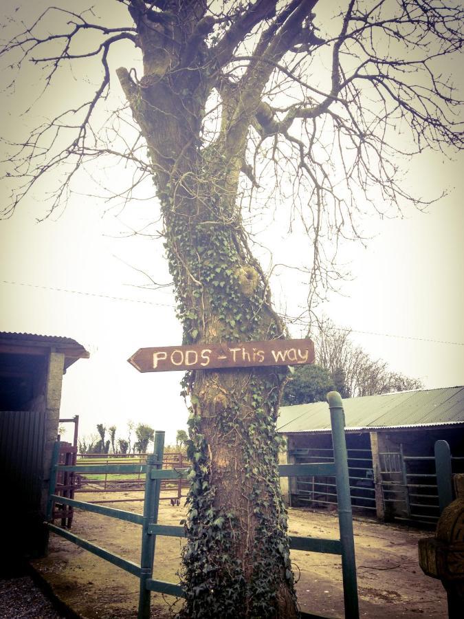 Carrigeen Glamping Kilkenny Kültér fotó