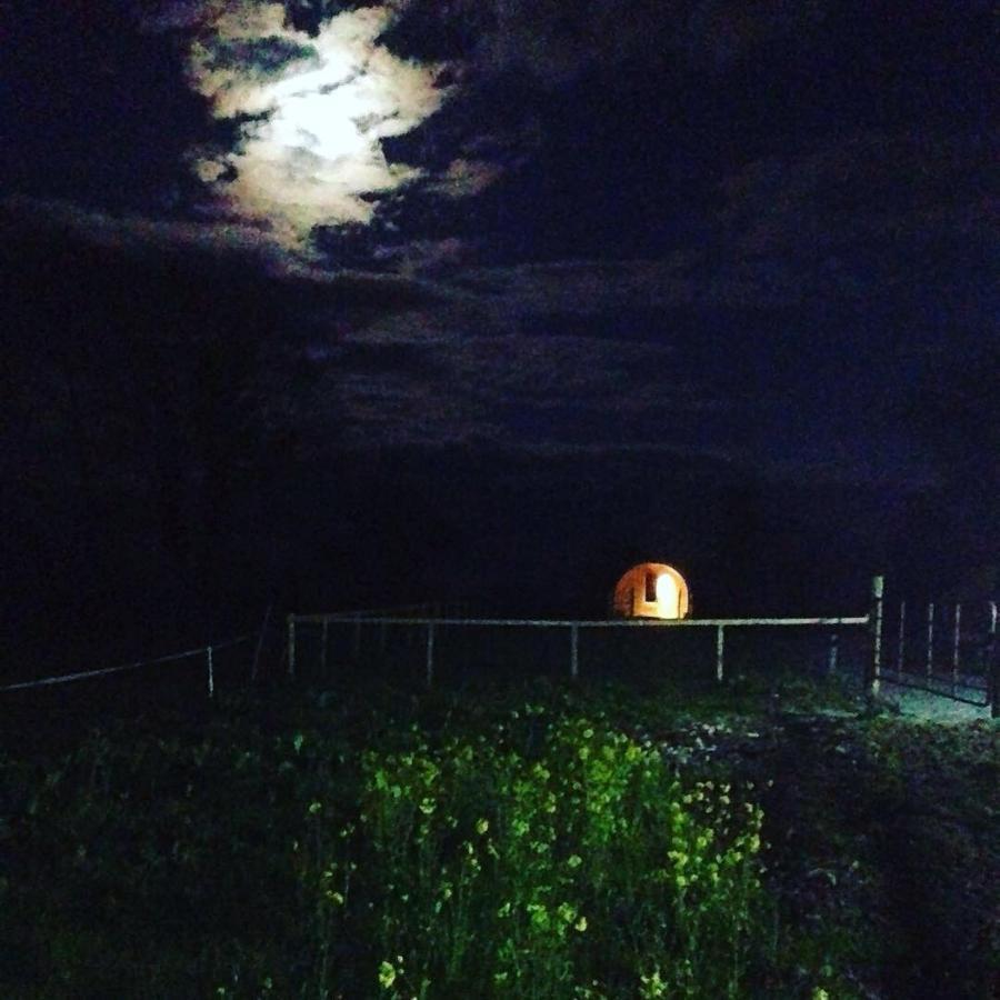 Carrigeen Glamping Kilkenny Kültér fotó